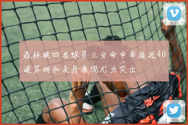 森林狼四名球员三分命中率接近40道苏姆和麦丹表现尤为突出