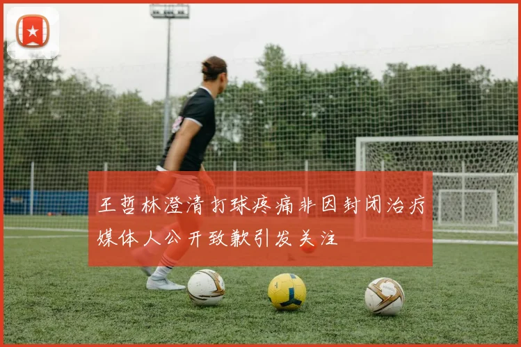 王哲林澄清打球疼痛非因封闭治疗媒体人公开致歉引发关注
