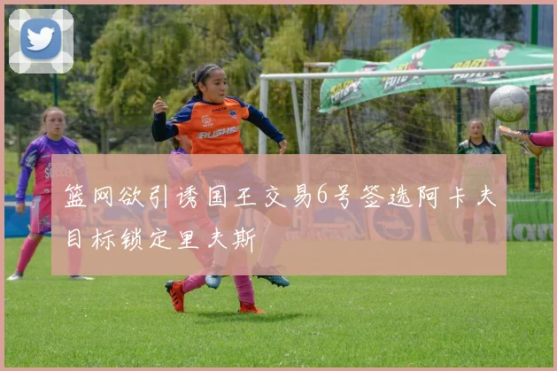 篮网欲引诱国王交易6号签选阿卡夫目标锁定里夫斯